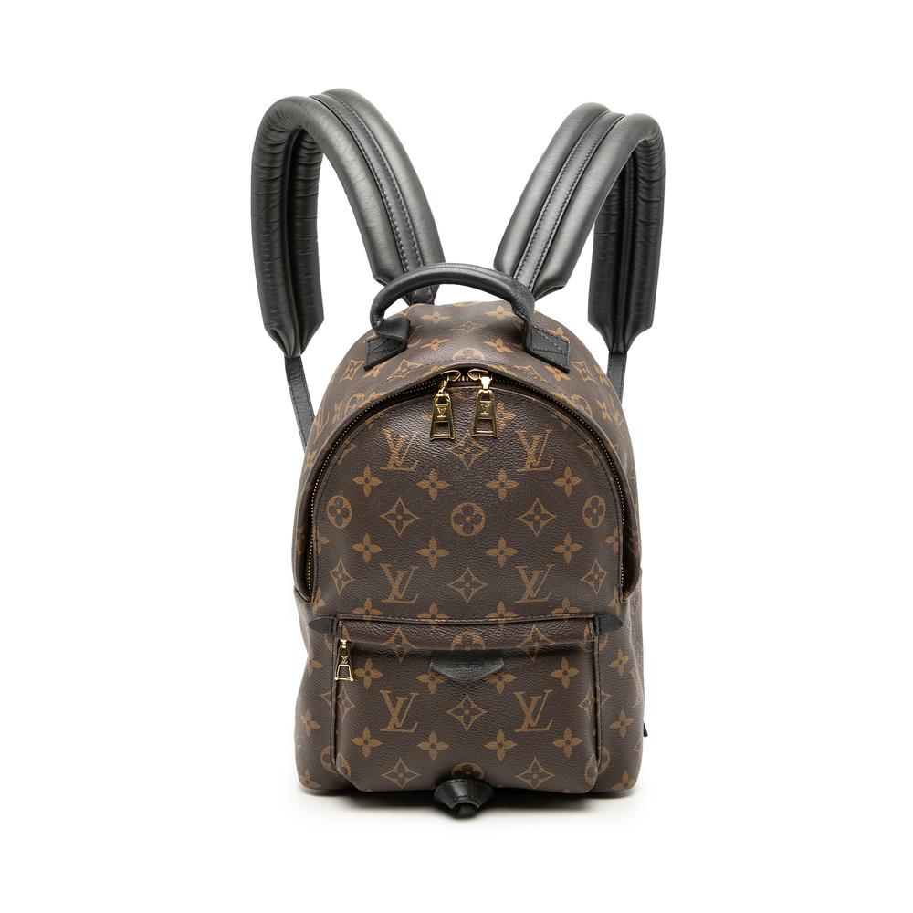 Pre-Loved Louis Vuitton Monogram Palm Springs PM